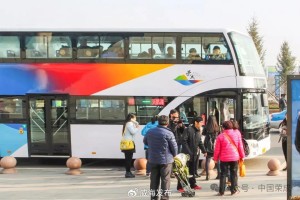 11月25日起，榮成開通“賞天鵝公交旅游專線”